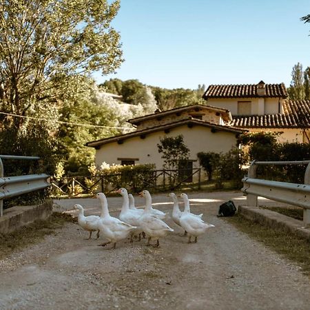 Agriturismo Le Radici Umbertide Εξωτερικό φωτογραφία