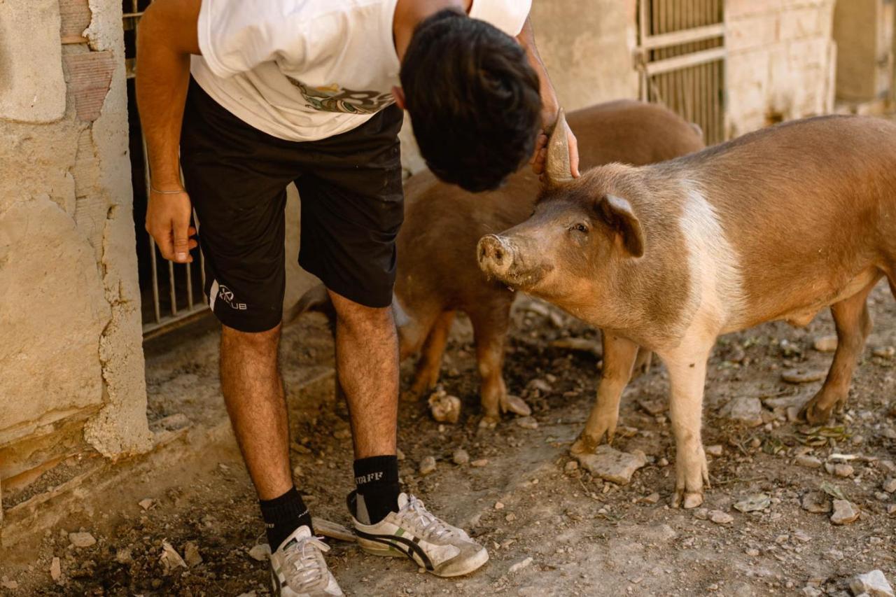 Agriturismo Le Radici Umbertide Εξωτερικό φωτογραφία