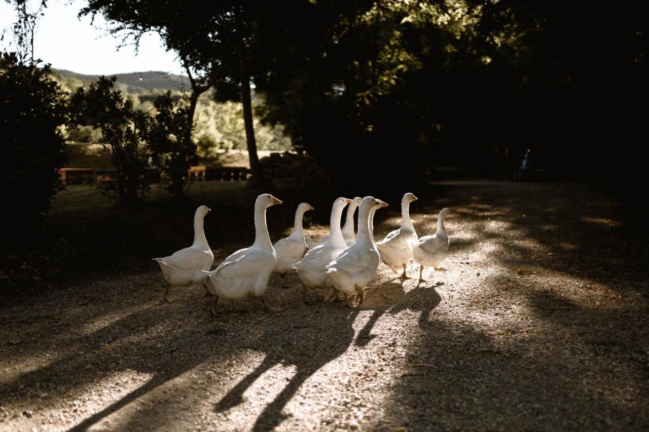 Agriturismo Le Radici Umbertide Εξωτερικό φωτογραφία